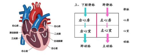 昆明市第一人民医院