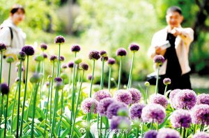 昆明植物园邀你葱葱而来