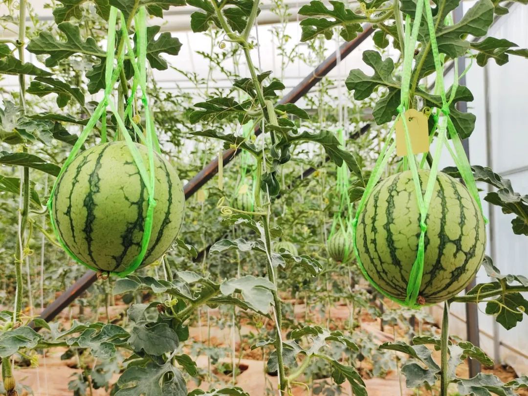 晋宁 诗意的栖居地