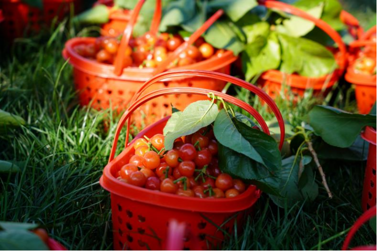 昆明阳宗海风景名胜区