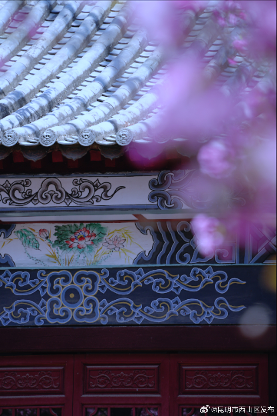 昆明市西山区发布