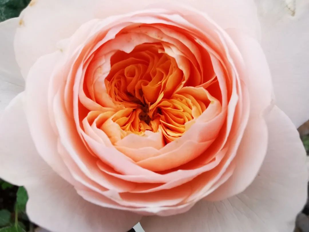 晋宁 诗意的栖居地