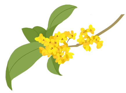 昆明市中医医院