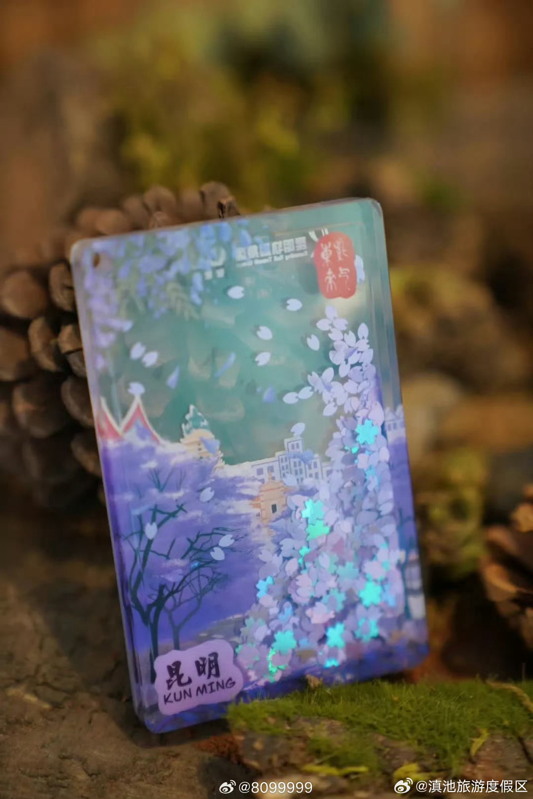 滇池旅游度假区