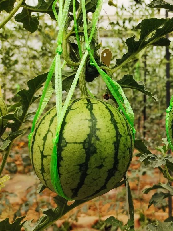 晋宁 诗意的栖居地