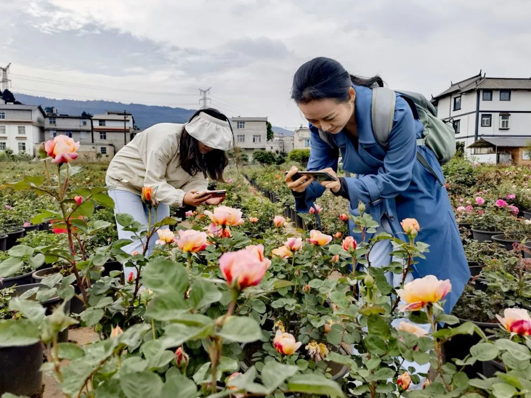 晋宁 诗意的栖居地