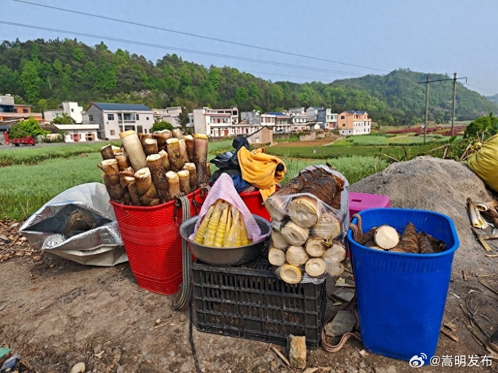 富源古敢水族乡：春笋破土富农家