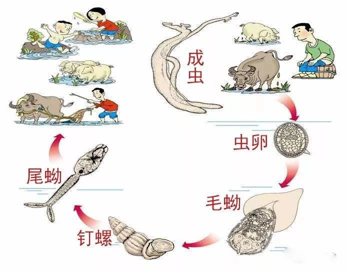 云南疾控