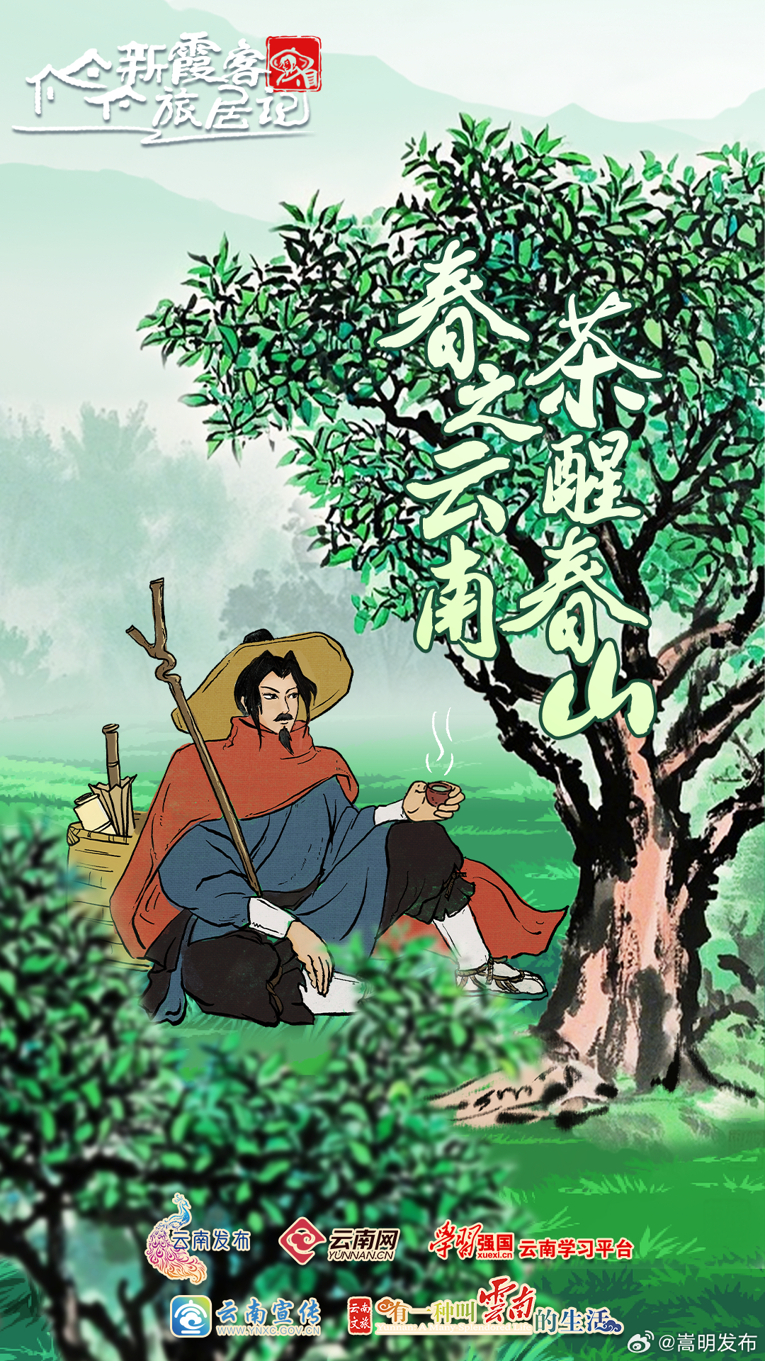 春之云南 茶醒春山 | 新霞客·旅居记