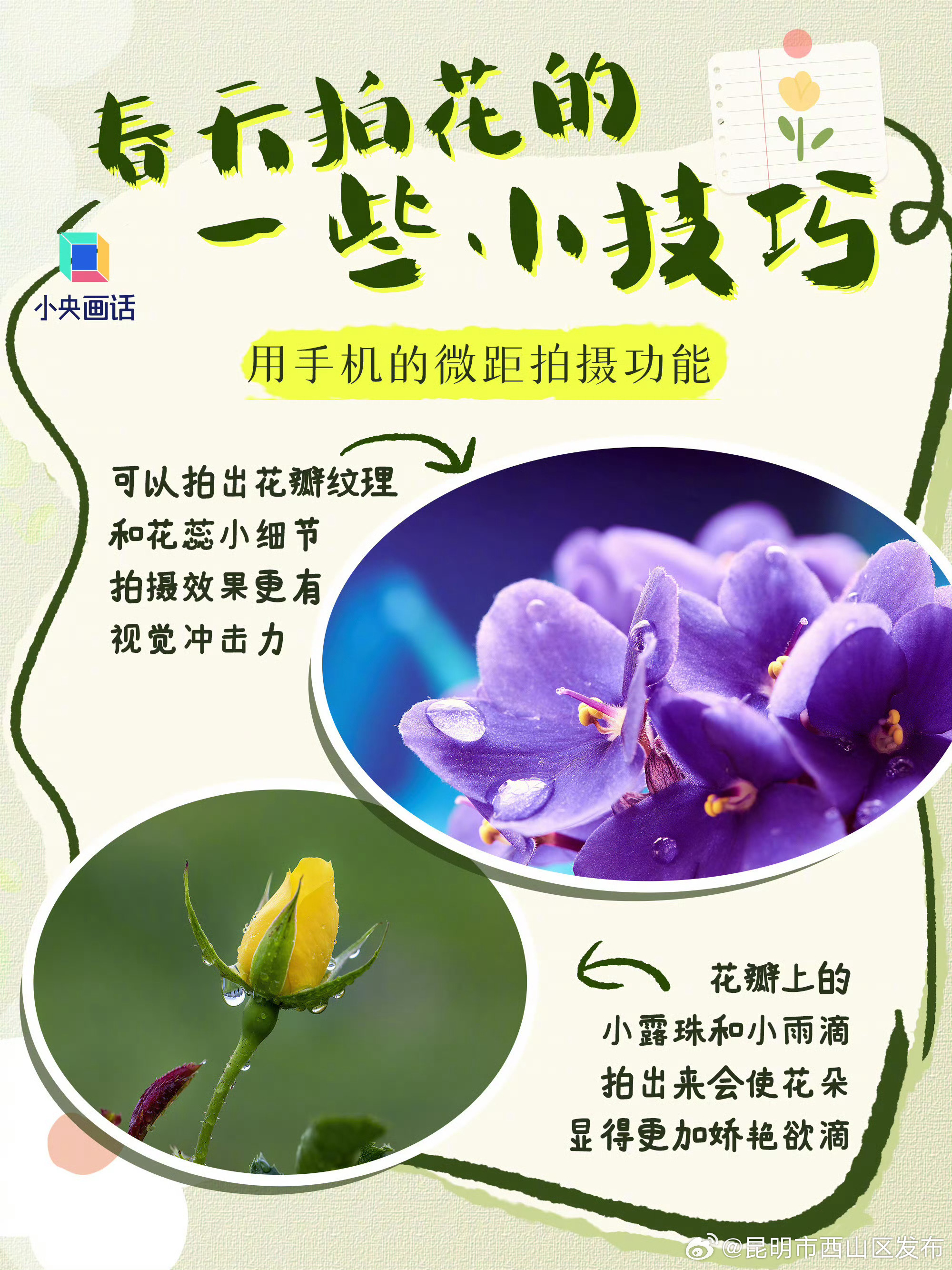 昆明市西山区发布