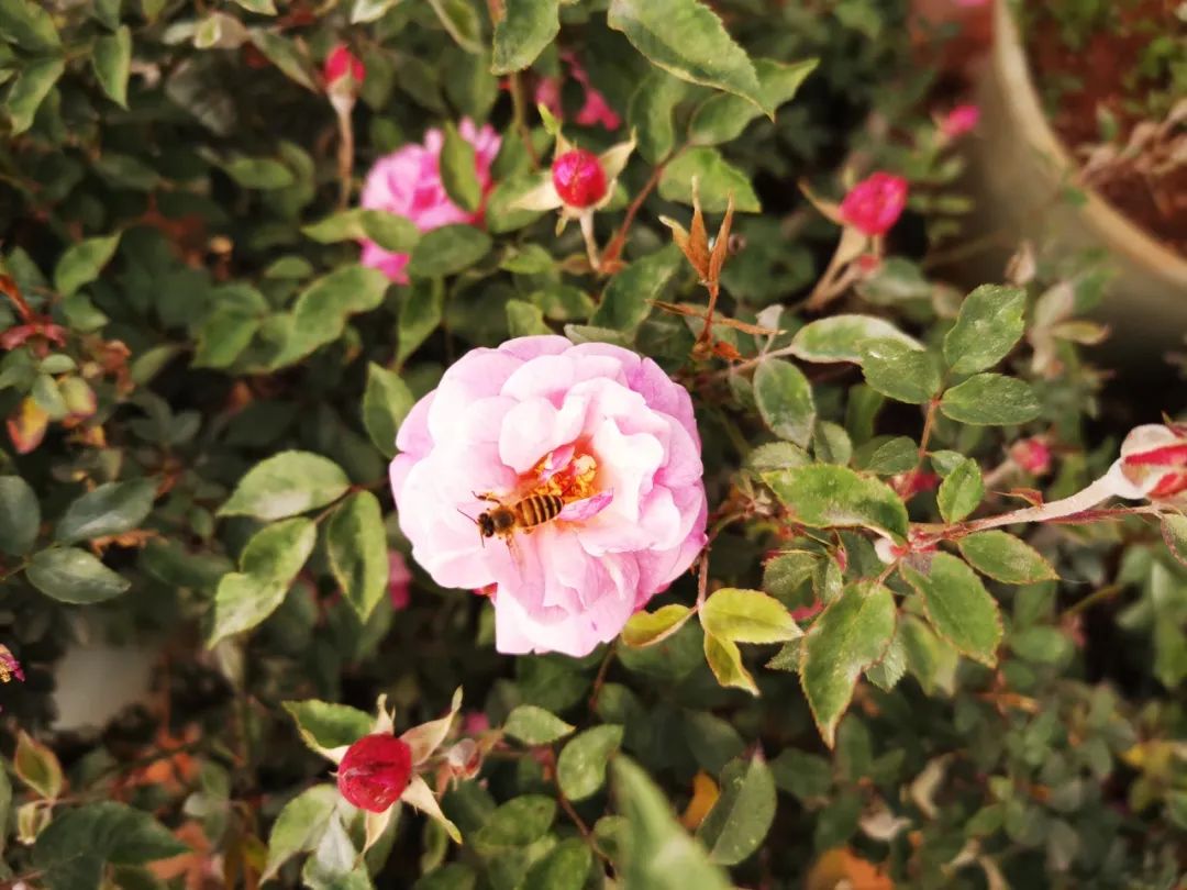 晋宁 诗意的栖居地