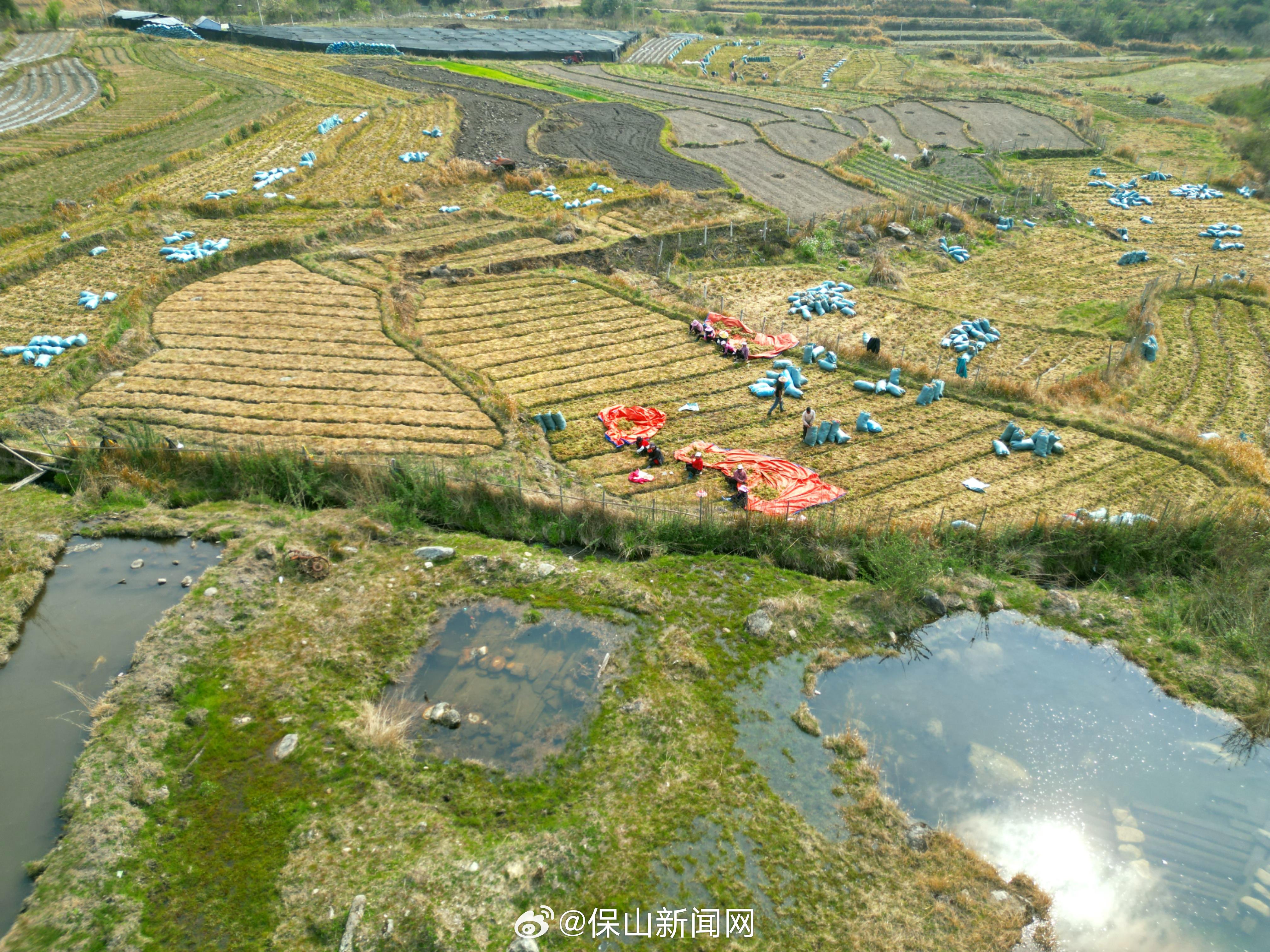 保山新闻网