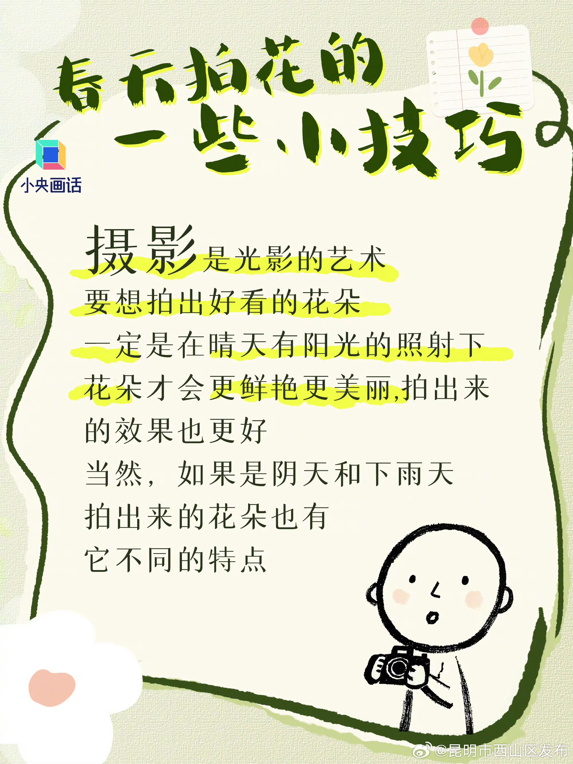 昆明市西山区发布