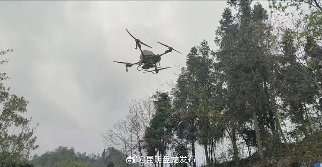 水富：“鲲鹏计划”与企业联手 竹林实现无人机高效施肥