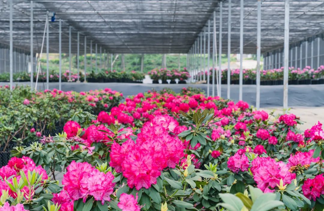 晋宁 诗意的栖居地