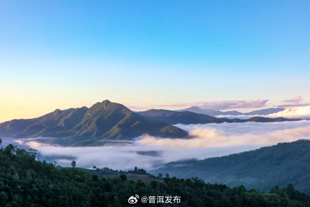 400+种鸟类随便拍！“观鸟经济学”就藏在普洱这个小寨里