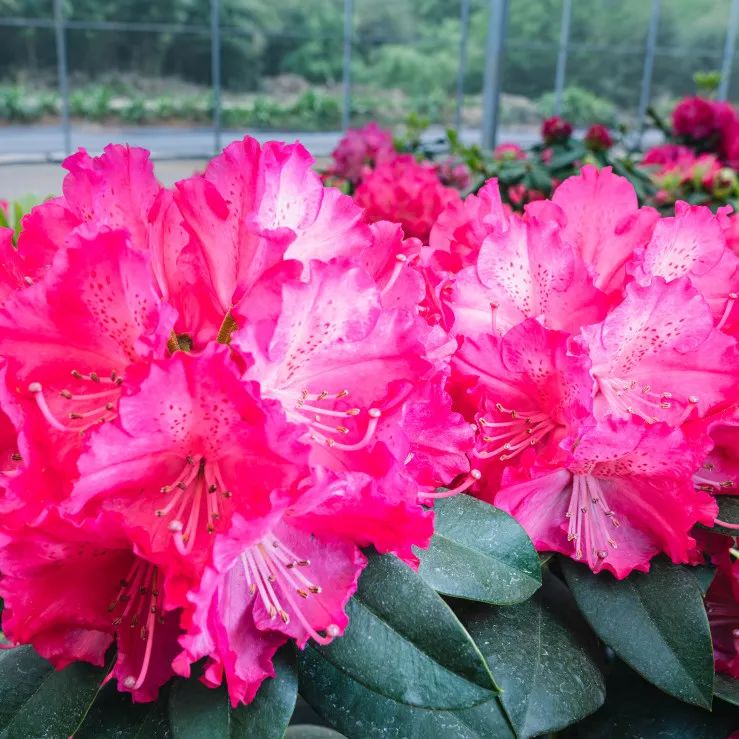 晋宁 诗意的栖居地