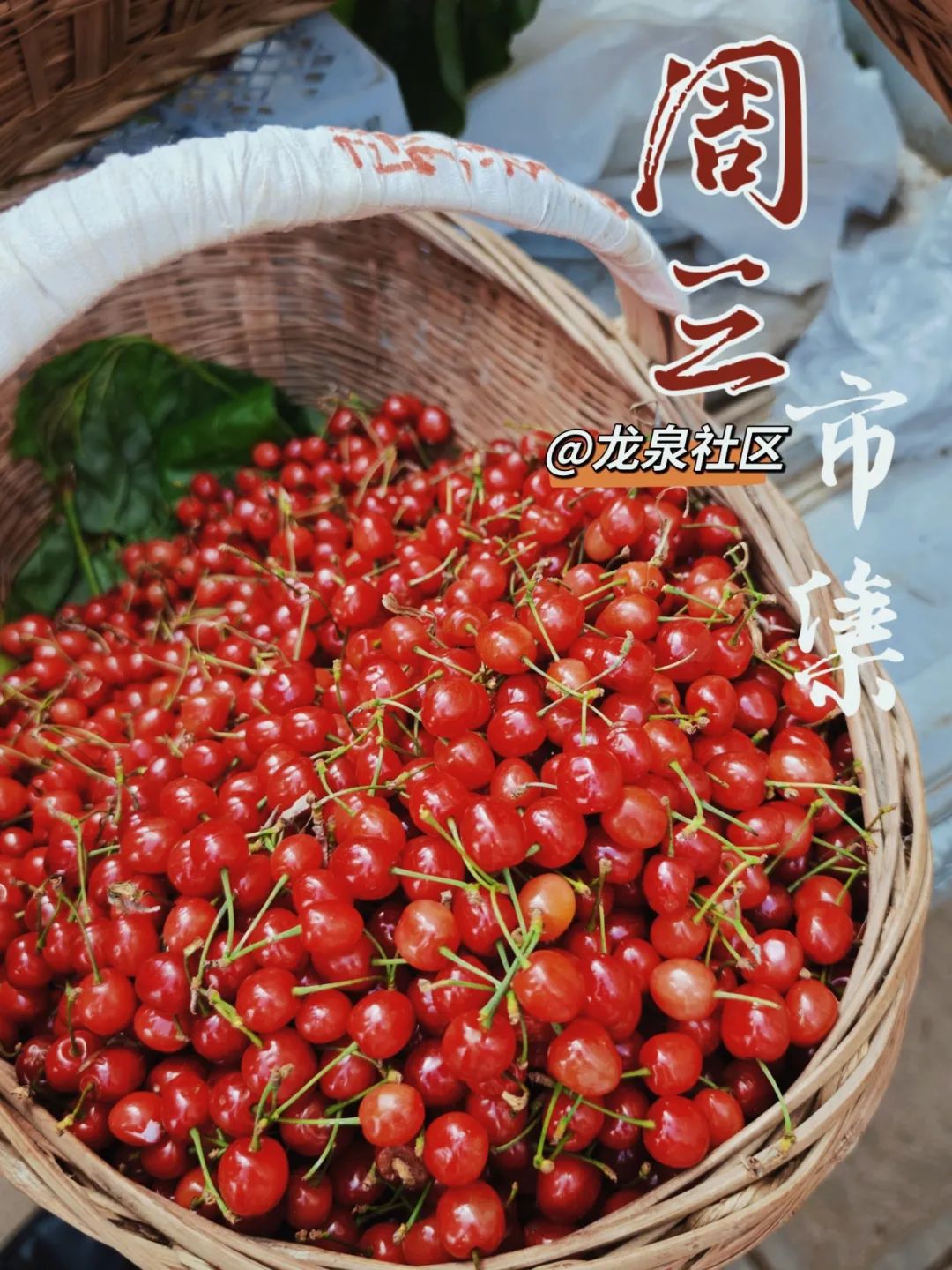 悦读嵩明