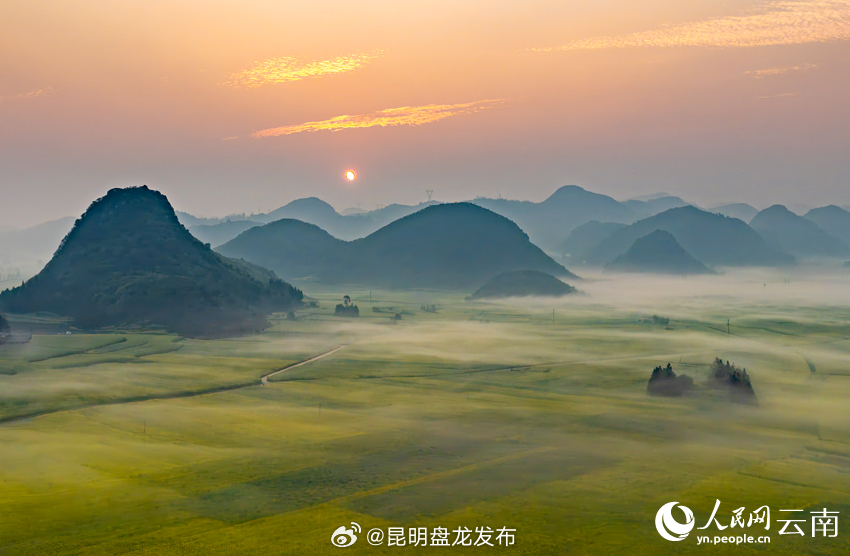 云南罗平：晨雾奔涌绕峰丛 油菜花海美如画