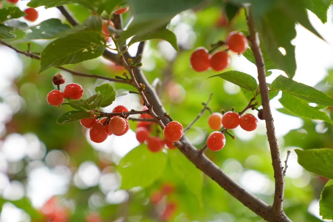 晋宁 诗意的栖居地