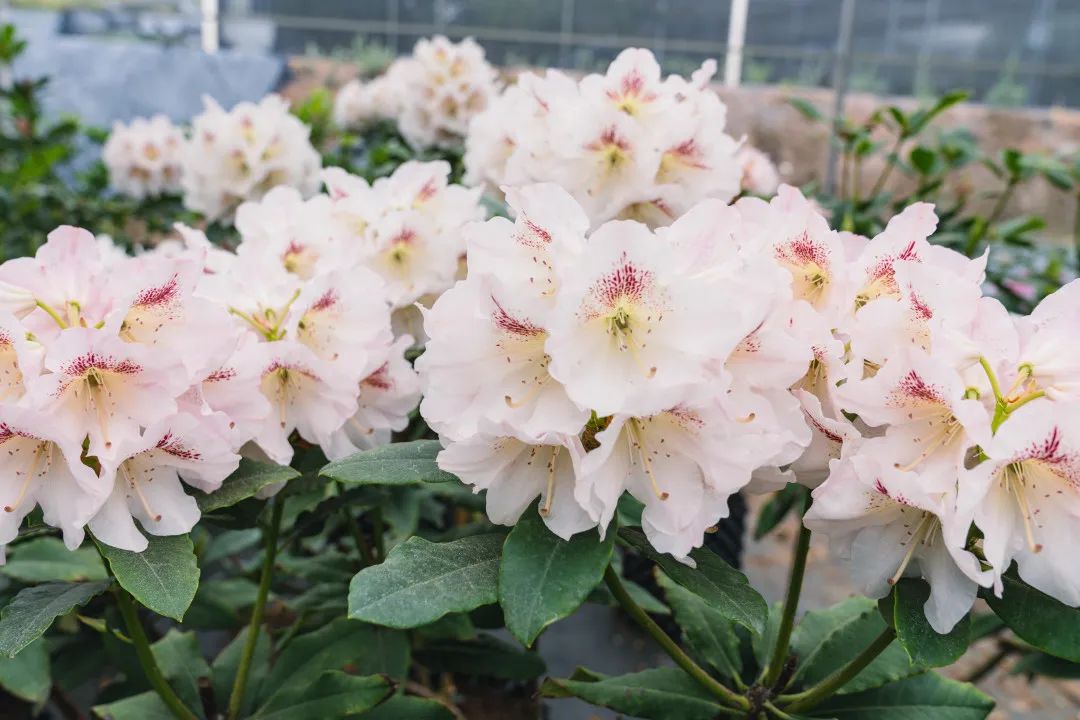 晋宁 诗意的栖居地