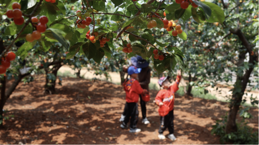 昆明阳宗海风景名胜区