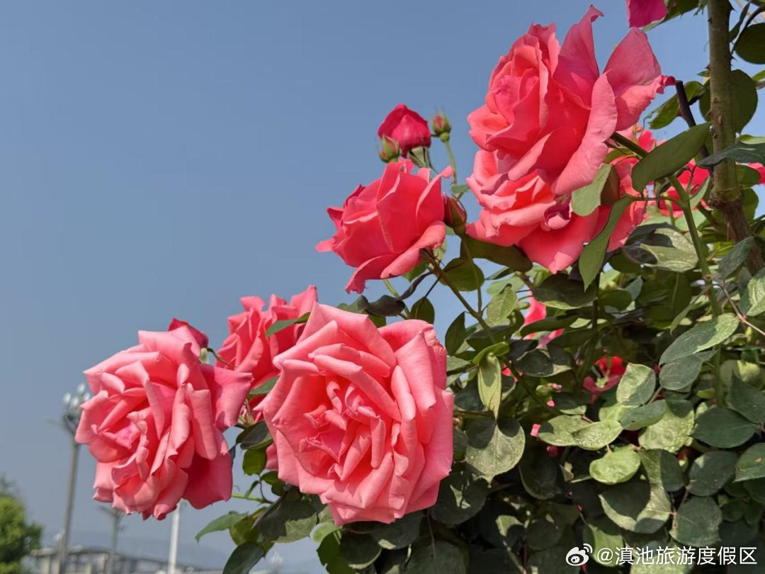 滇池旅游度假区