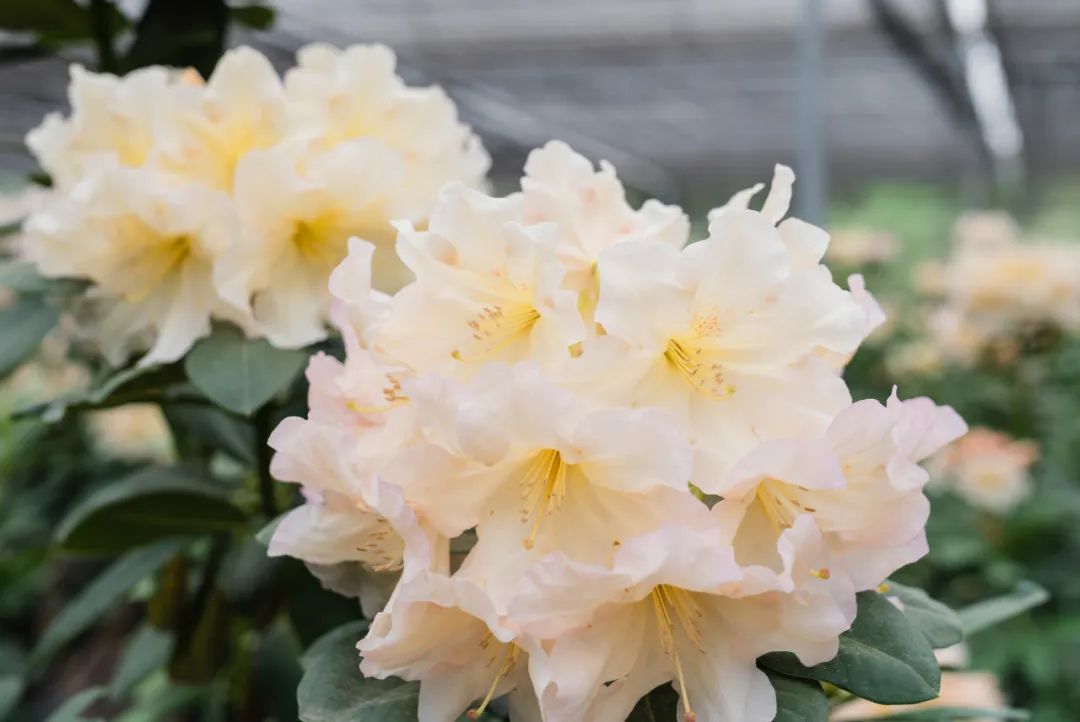 晋宁 诗意的栖居地