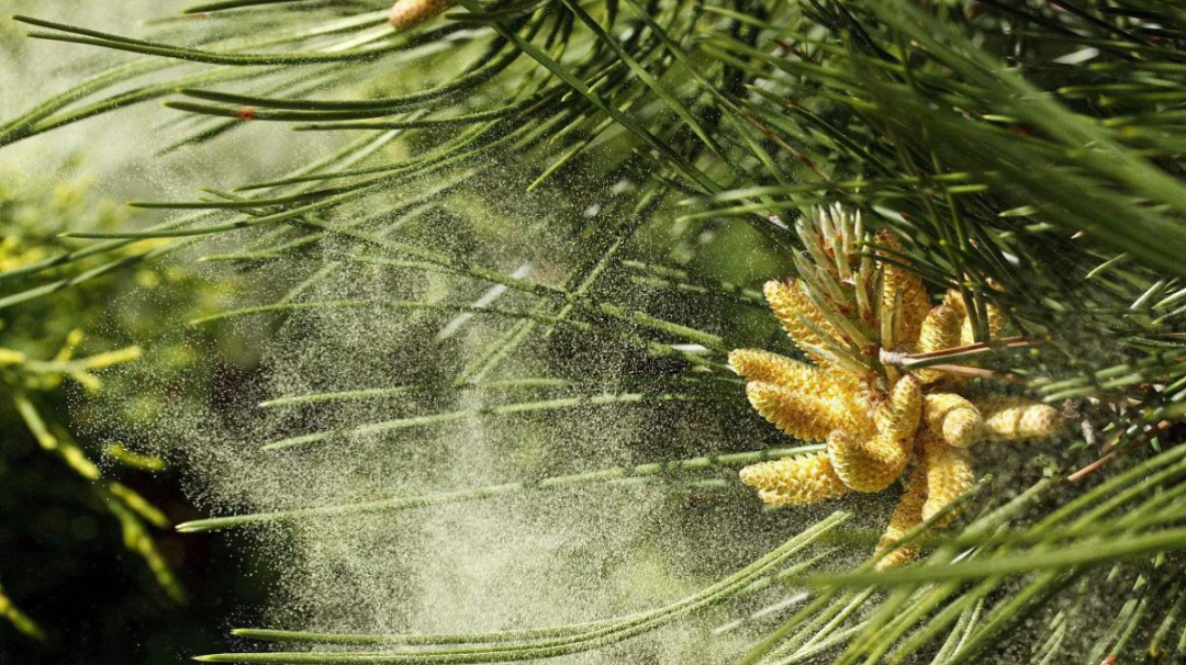 昆明市中医医院