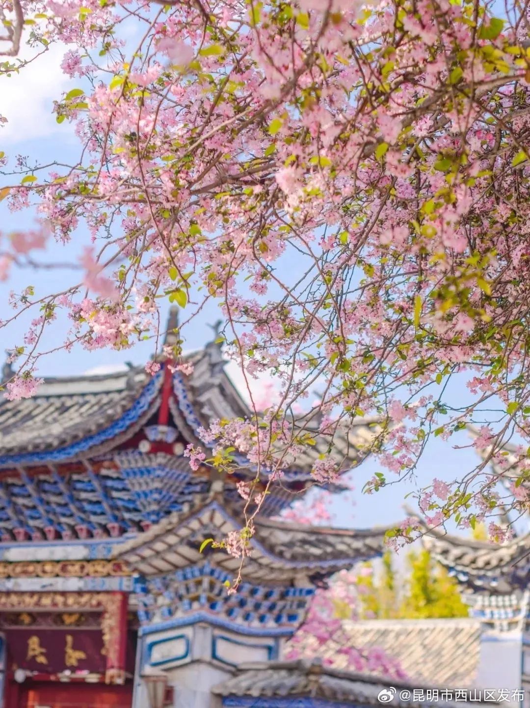 昆明市西山区发布