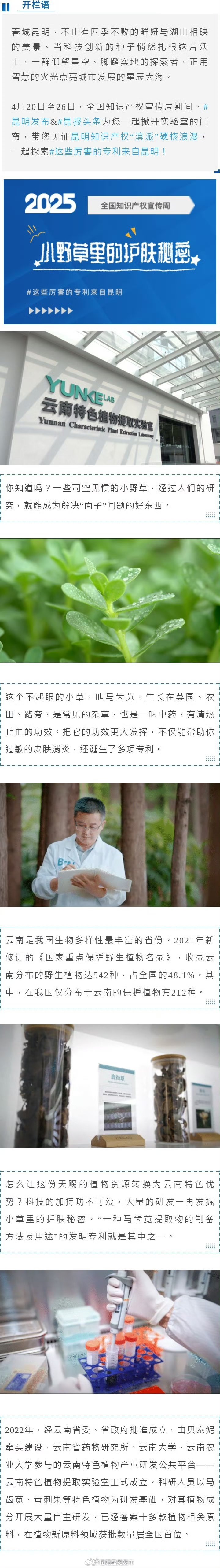 这些厉害的专利来自昆明 | 小野草里的护肤秘密