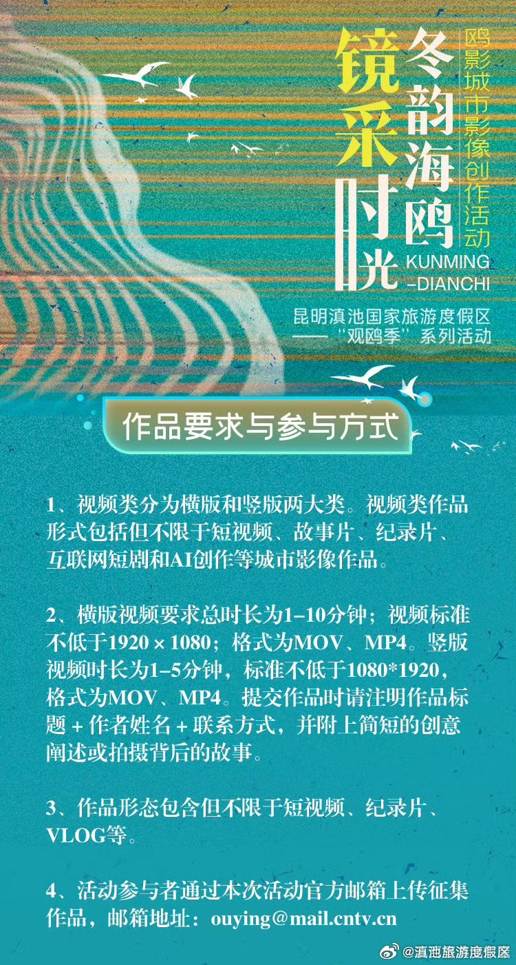 春城之约，人鸥情深！滇池观鸥季城市影像征集活动 邀您用镜头定格人鸥相守的浪漫