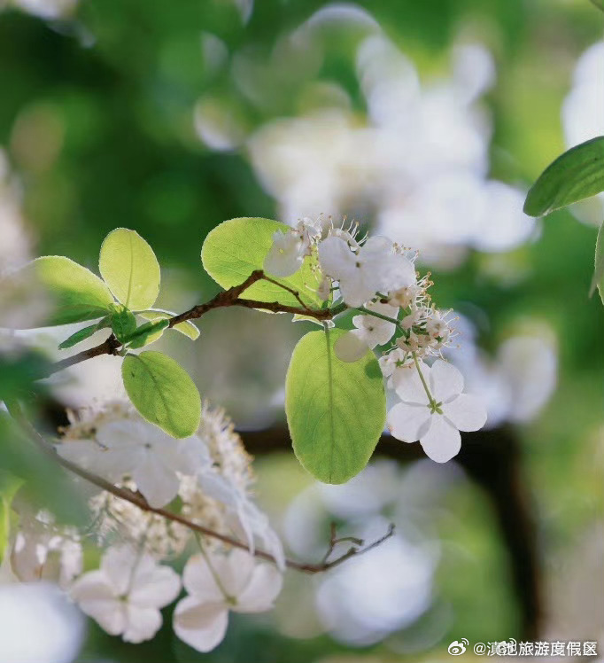 云南省未来24小时天气预报