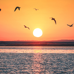 昆明市中医医院