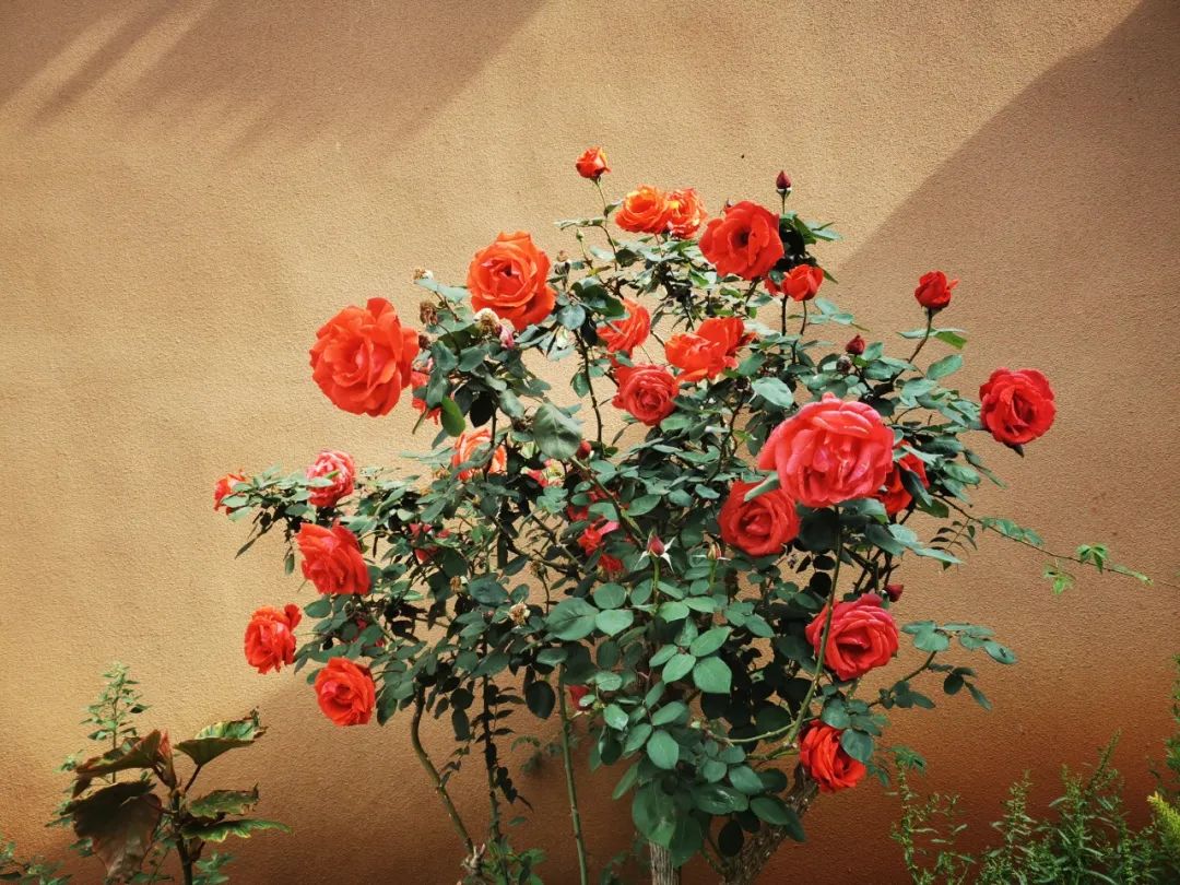 晋宁 诗意的栖居地