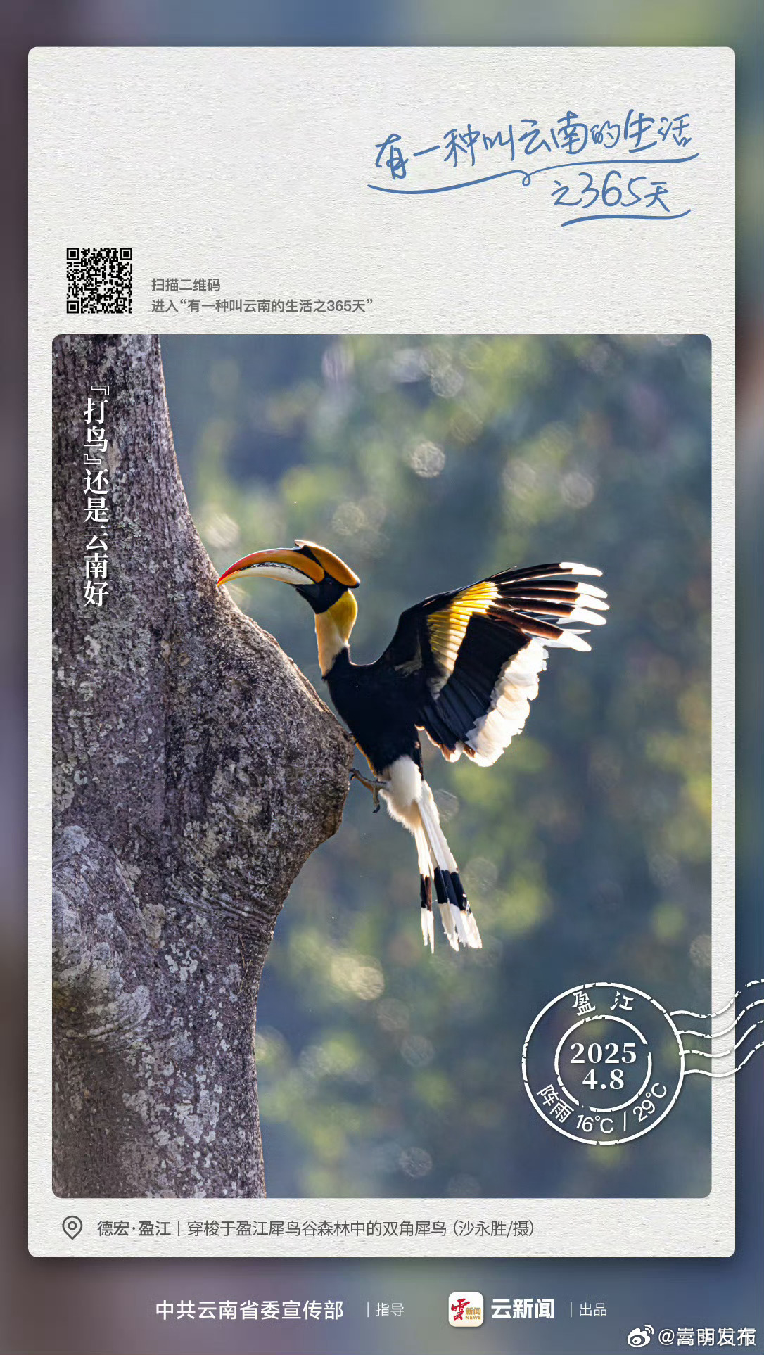 @ 李现，“打鸟”还是云南好！——有一种叫云南的生活之365天