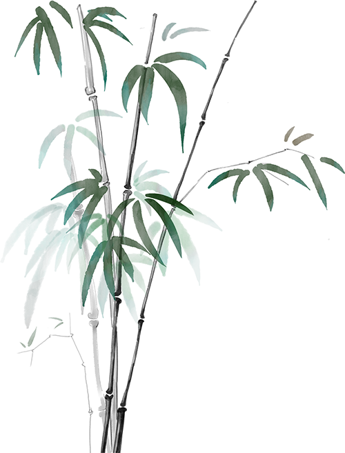 镇雄县人民医院