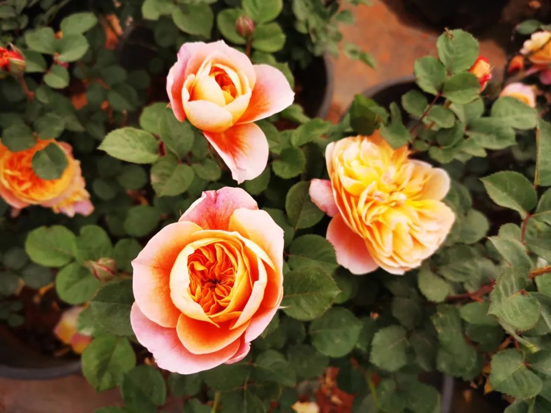 晋宁 诗意的栖居地