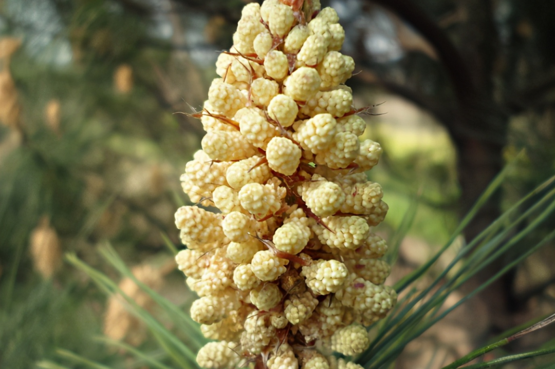 昆明市中医医院
