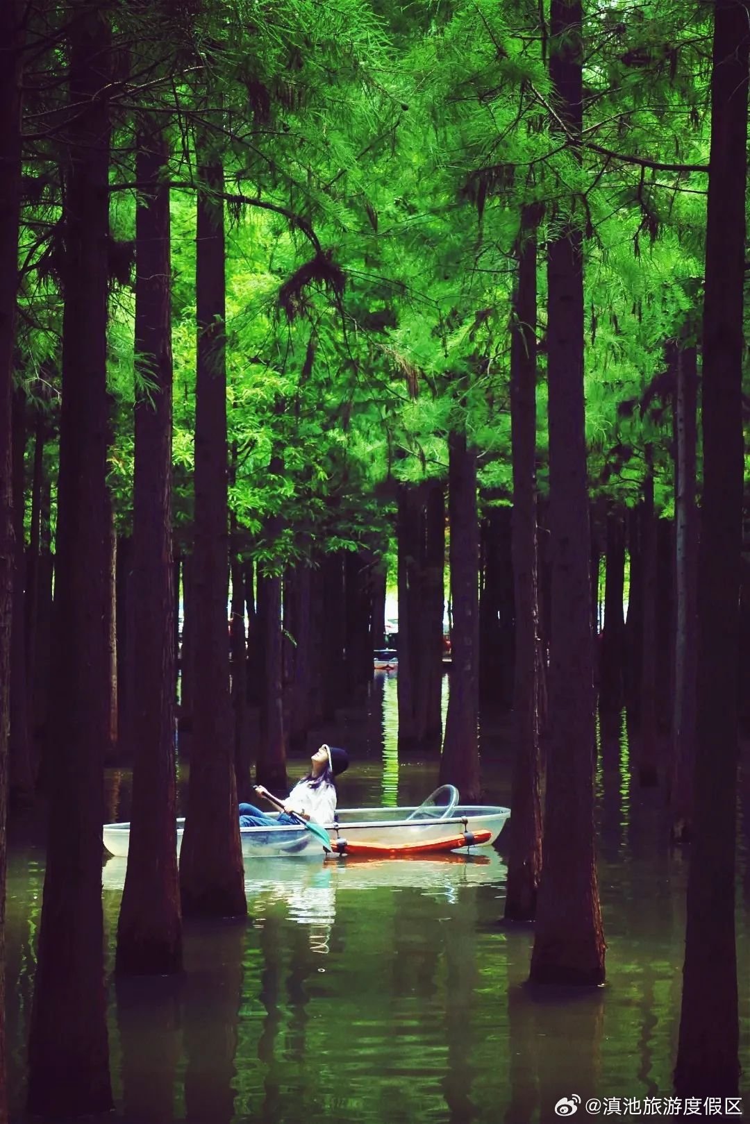 下午四点的捞渔河森林游船 真是人类光合作用必去清单
