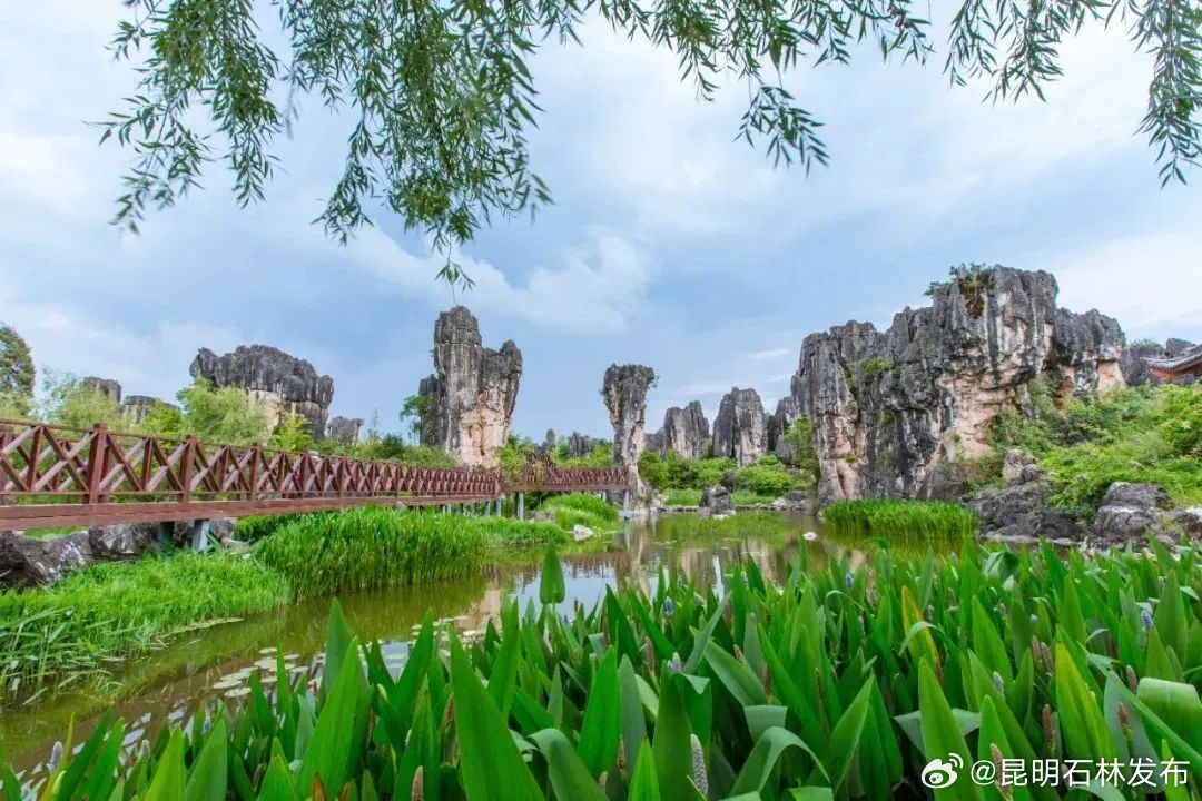 昆明石林发布