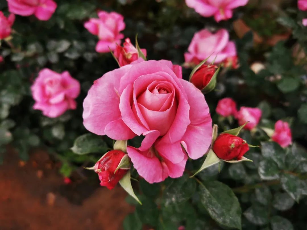 晋宁 诗意的栖居地