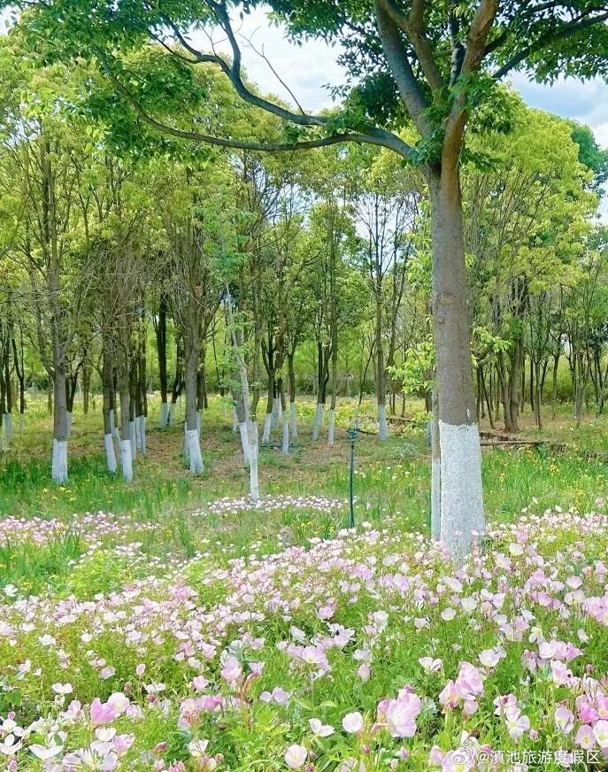 滇池旅游度假区