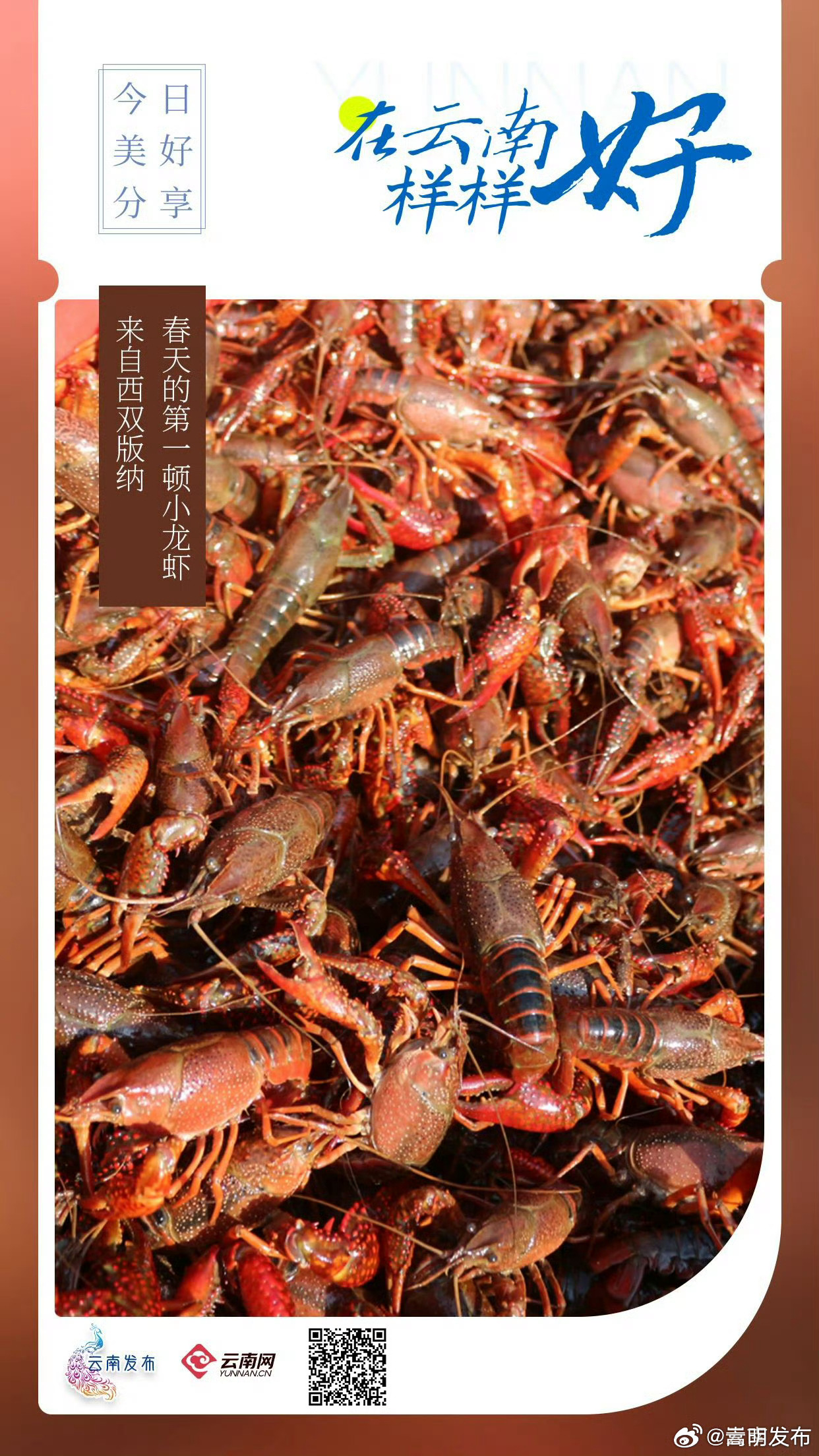 来云南吃春天第一顿小龙虾