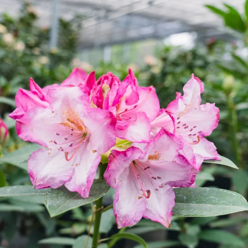 晋宁 诗意的栖居地