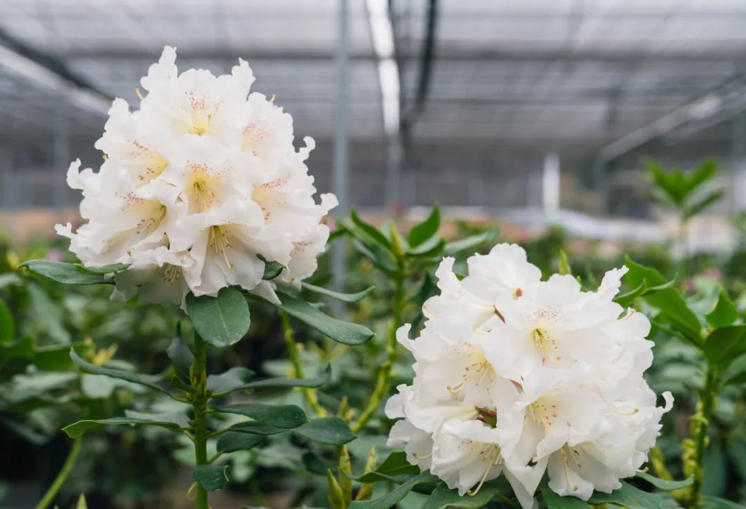 晋宁 诗意的栖居地