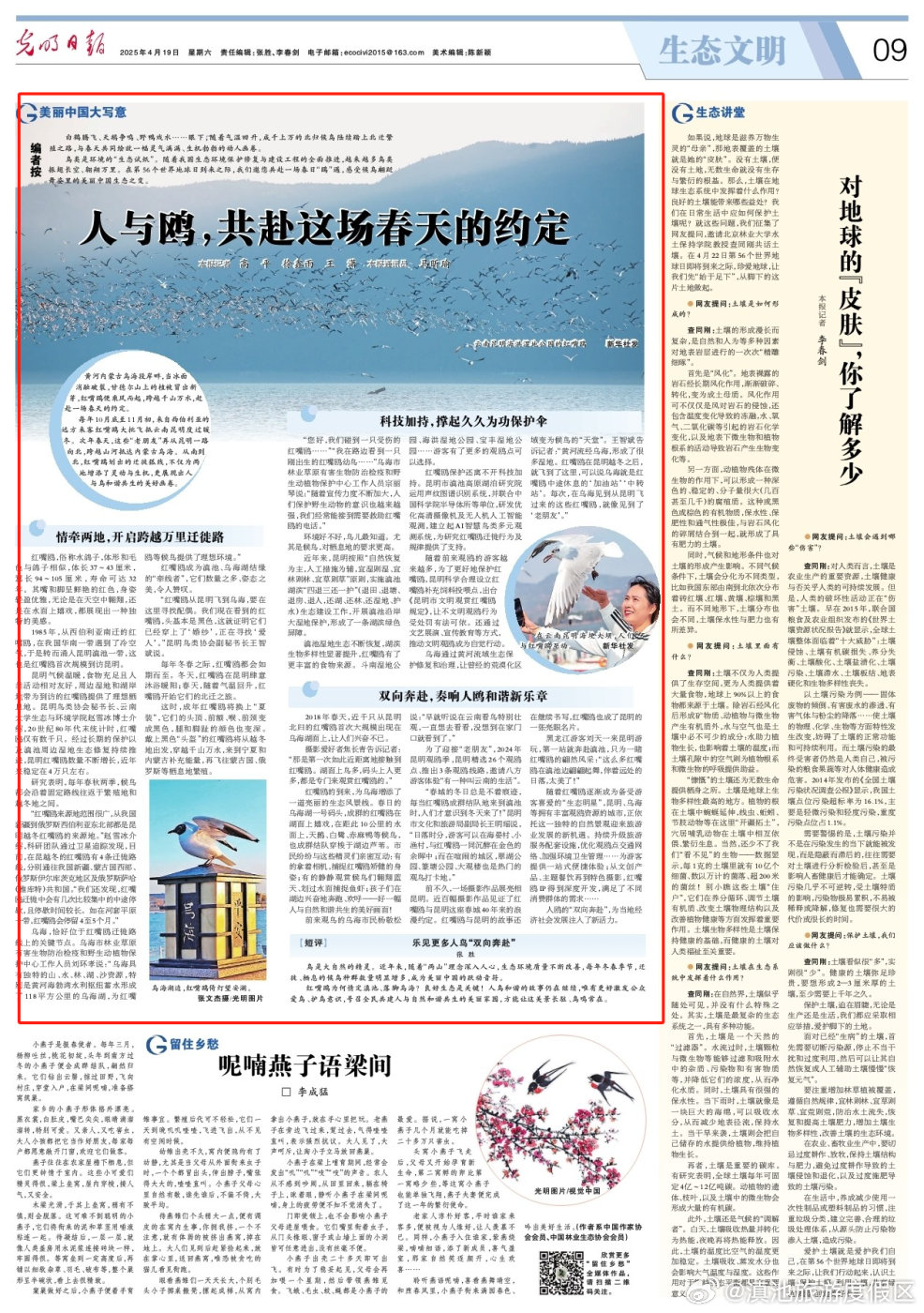 光明日报聚焦！人与鸥，共赴这场春天的约定