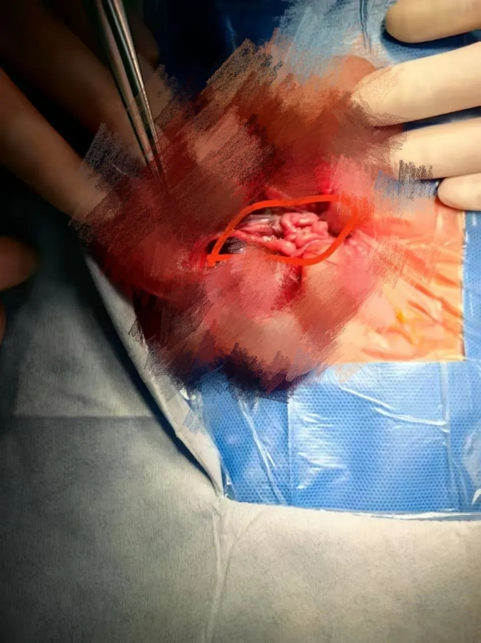 昆明市妇幼保健院