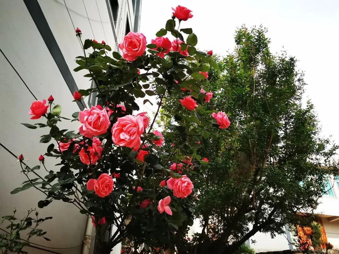 晋宁 诗意的栖居地