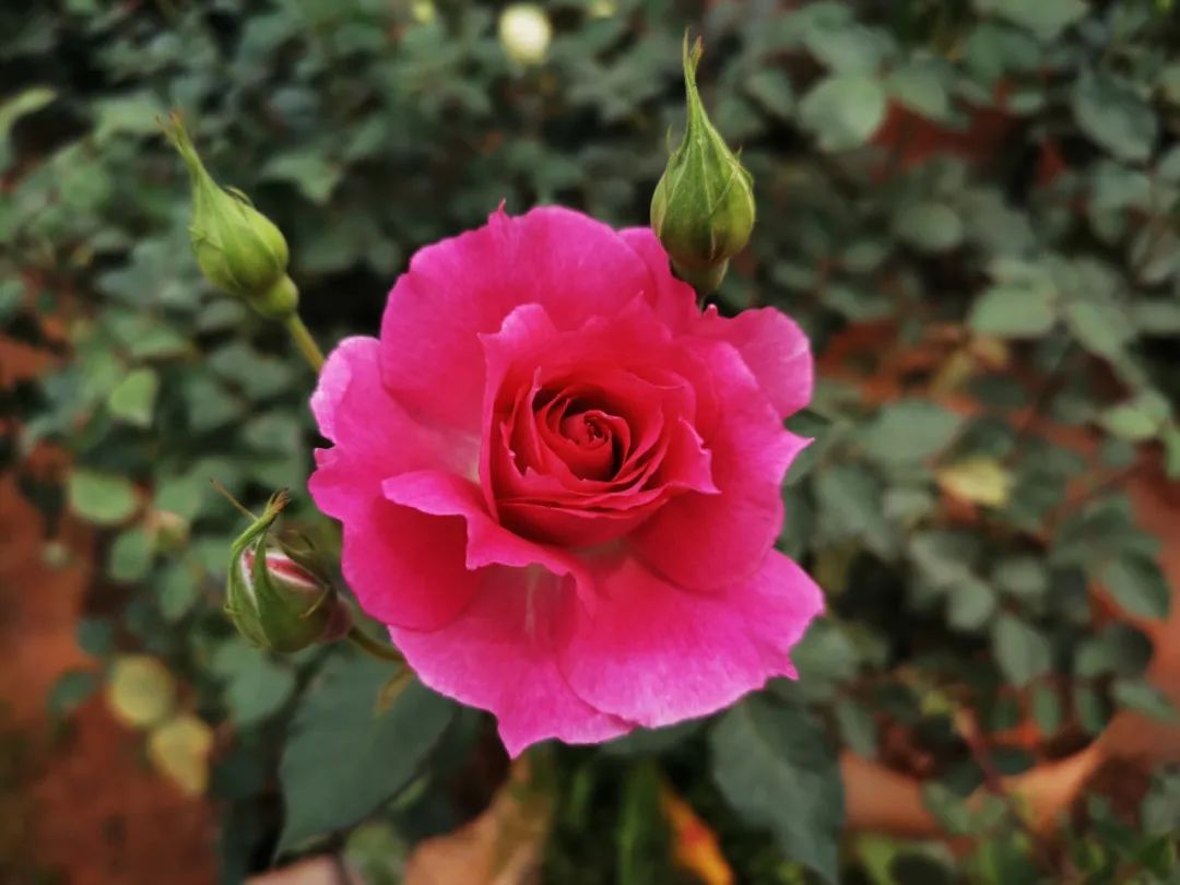 晋宁 诗意的栖居地